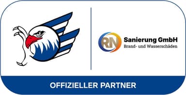 IFG Logo